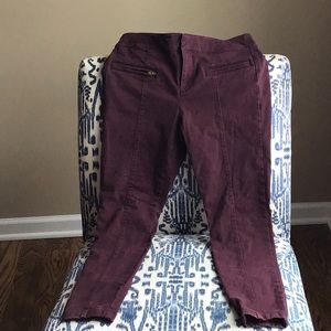 Cranberry pants